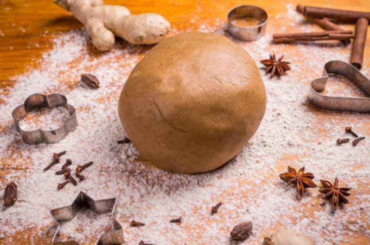 panetto di pan di zenzero fatto in casa