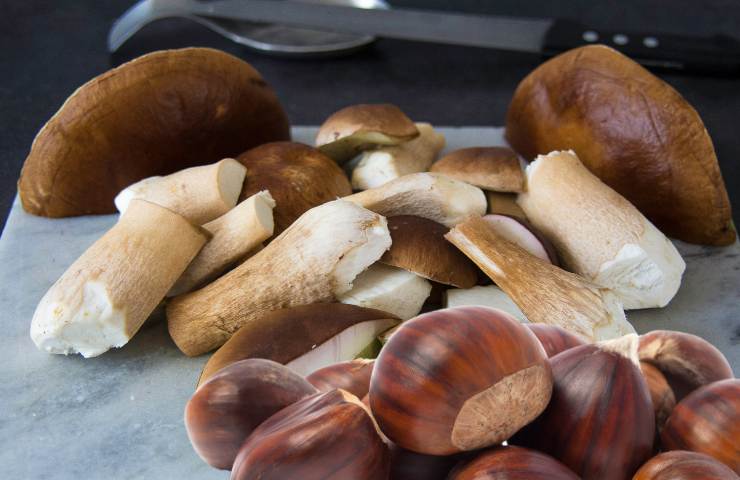 castagne, e funghi sparsi