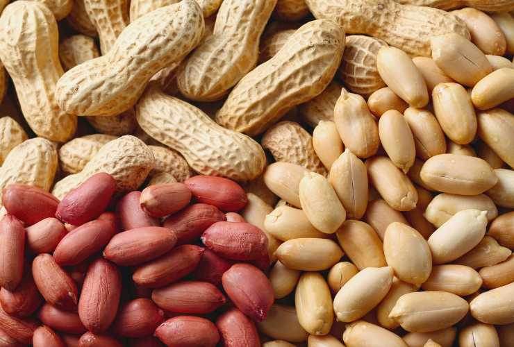 arachidi in guscio, con la pelle e sgusciati