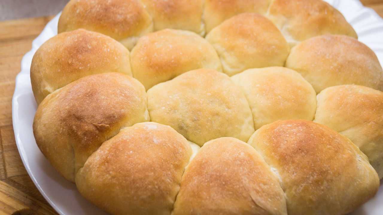 Danubio salato buttalapasta.it