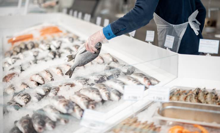 banco del pesce supermercato
