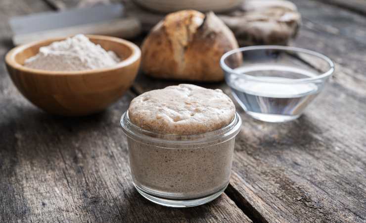 lievito madre farina acqua e pane