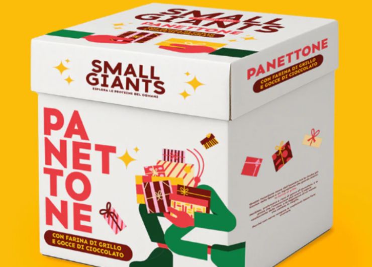 confezione del panettone con le larve della small giants
