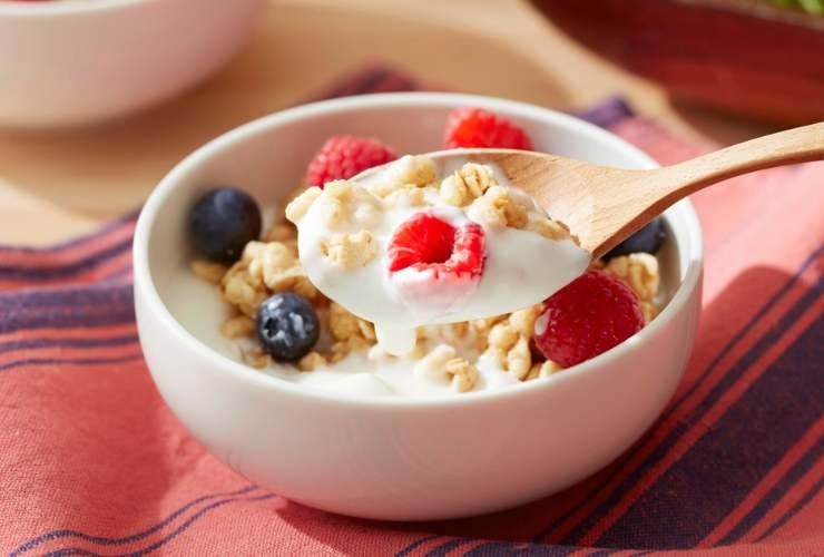 ciotola con yogurt, cereali e frutti rossi