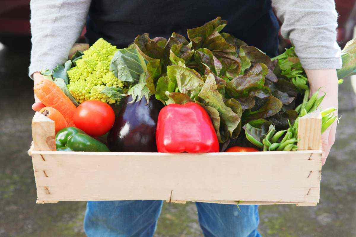 cassetta di verdure in mano