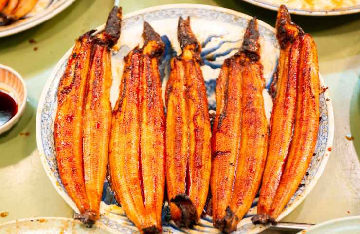 Anguille grigliate glassate in un piatto