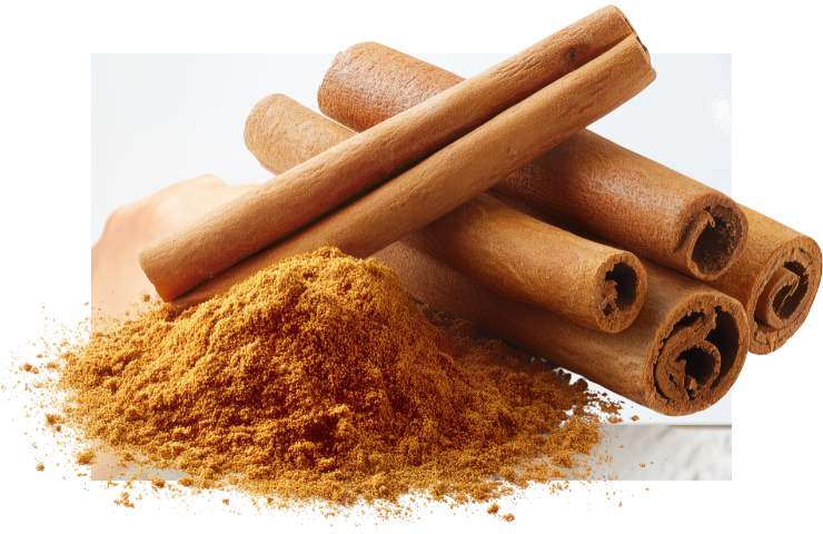 Bastoncini di cannella e cannella in polvere