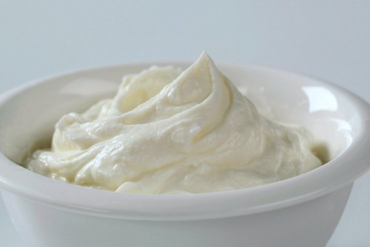 crema al parmigiano vellutata in una ciotola