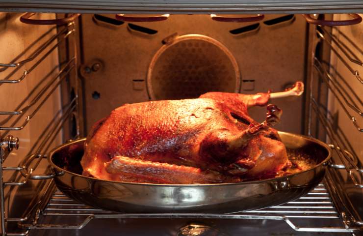 Oca cotta in forno