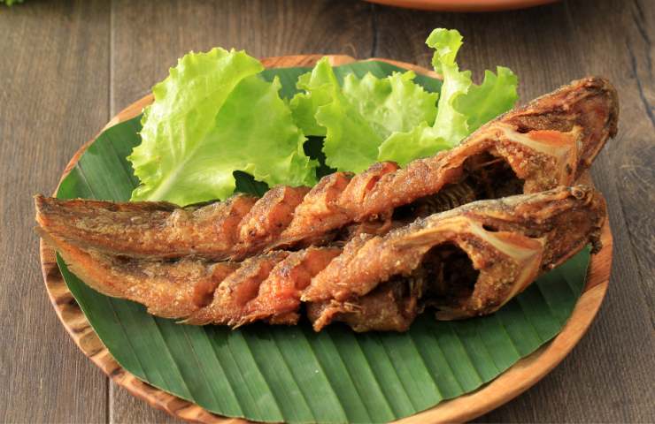 Due pesci fritti speziati in piatto verde con insalata