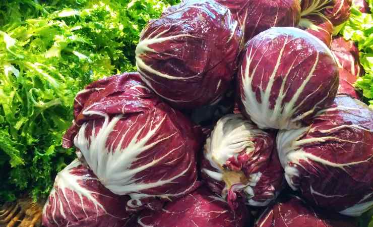 radicchio e cime di rapa