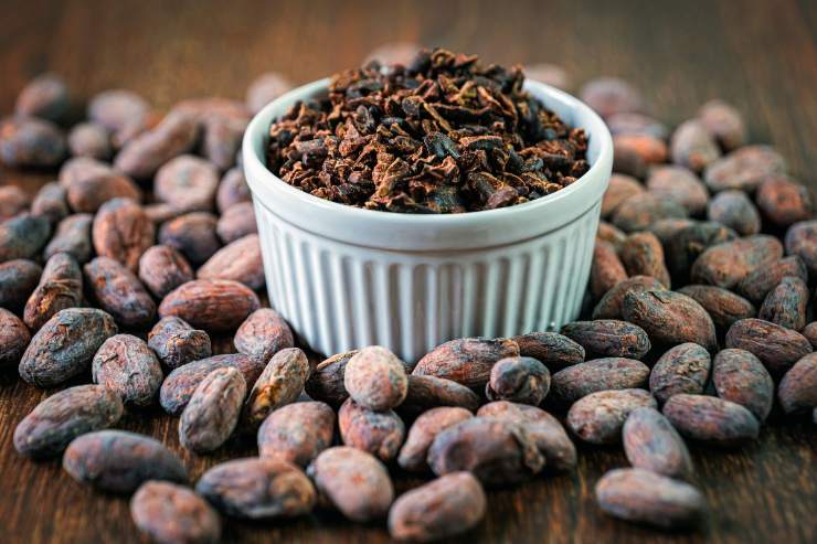 cacao e cioccolato con ciotola bianca