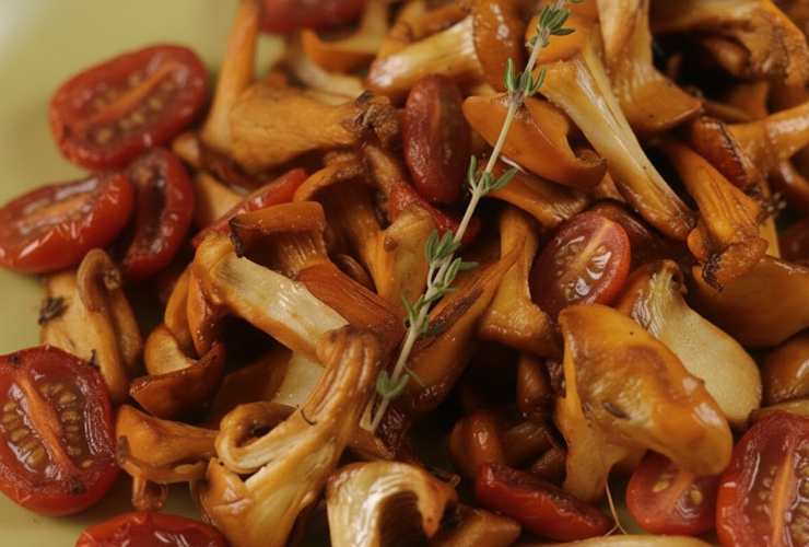 piatto di funghi con pomodori e aromi