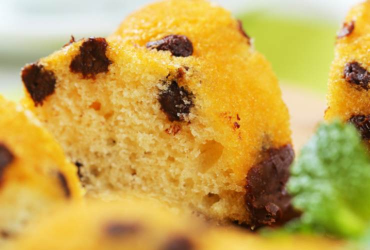 fetta di pan di spagna con gocce di cioccolato