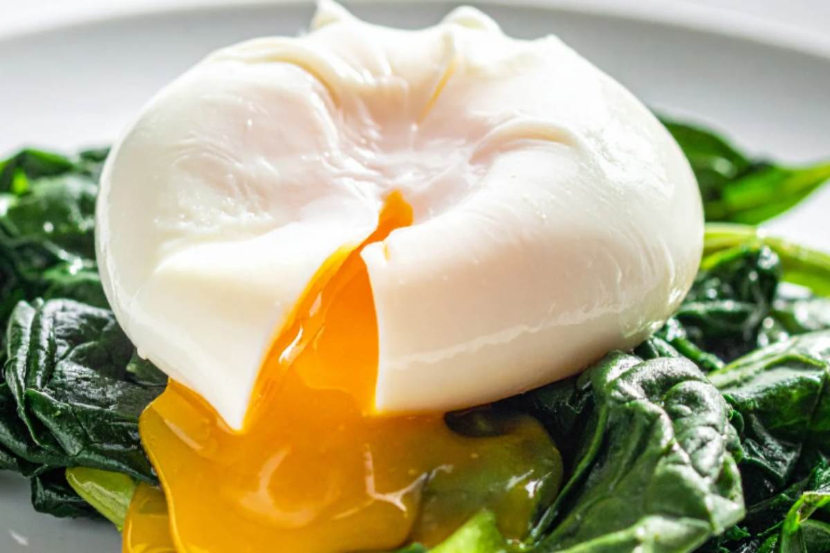 uovo in camicia su letto di spinaci