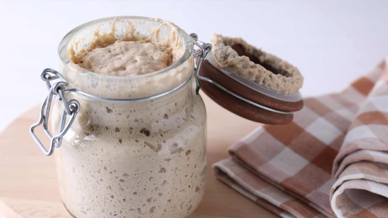 Lievito madre liquido (licoli) buttalapasta.it