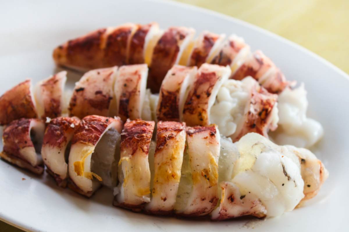 calamari grigliati in piatto bianco