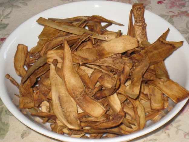Chips di melanzane