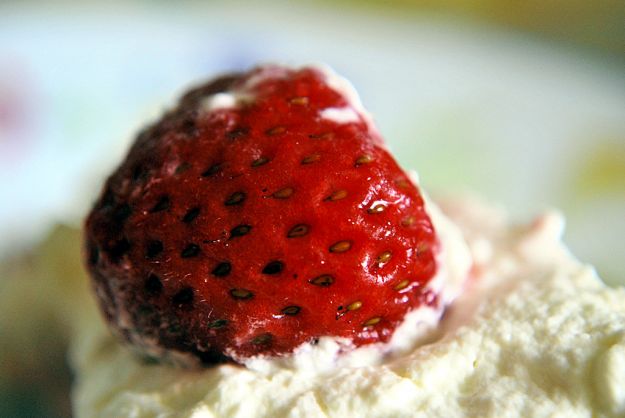 Fragole con ricotta