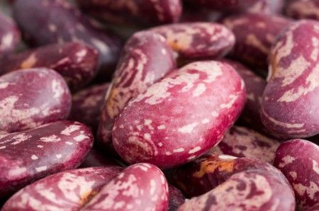 borlotti