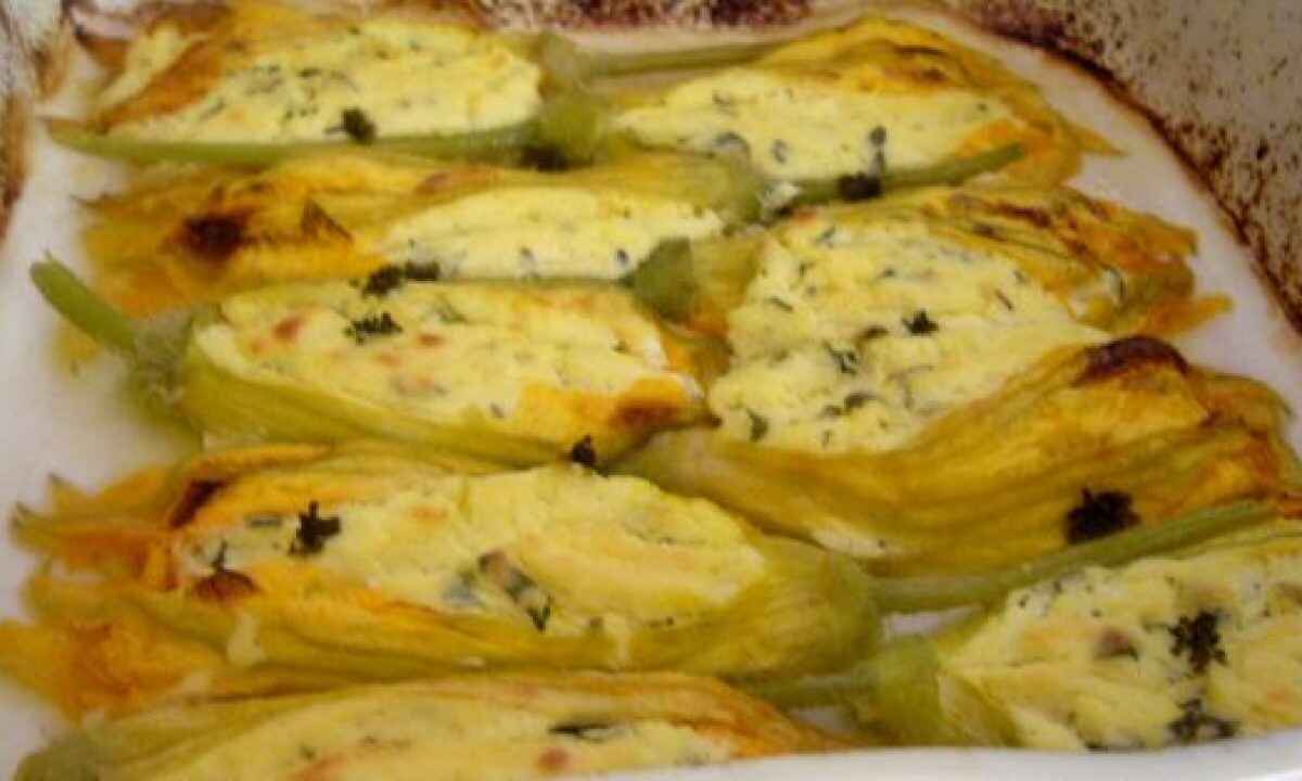 Fiori di zucca con ricotta su salsina di peperoni