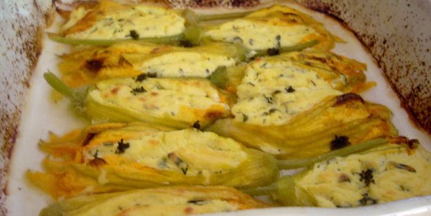 Fiori di zucca con ricotta su salsina di peperoni