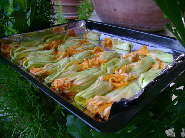 fiori di zucca ripieni di riso al forno