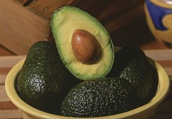 frutto avocado