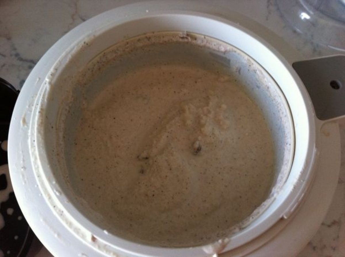 Gelato allo zenzero e cannella con uvetta