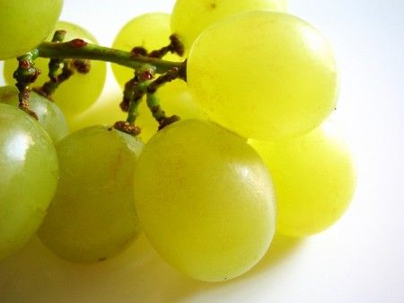 grappolo di uva per pasta