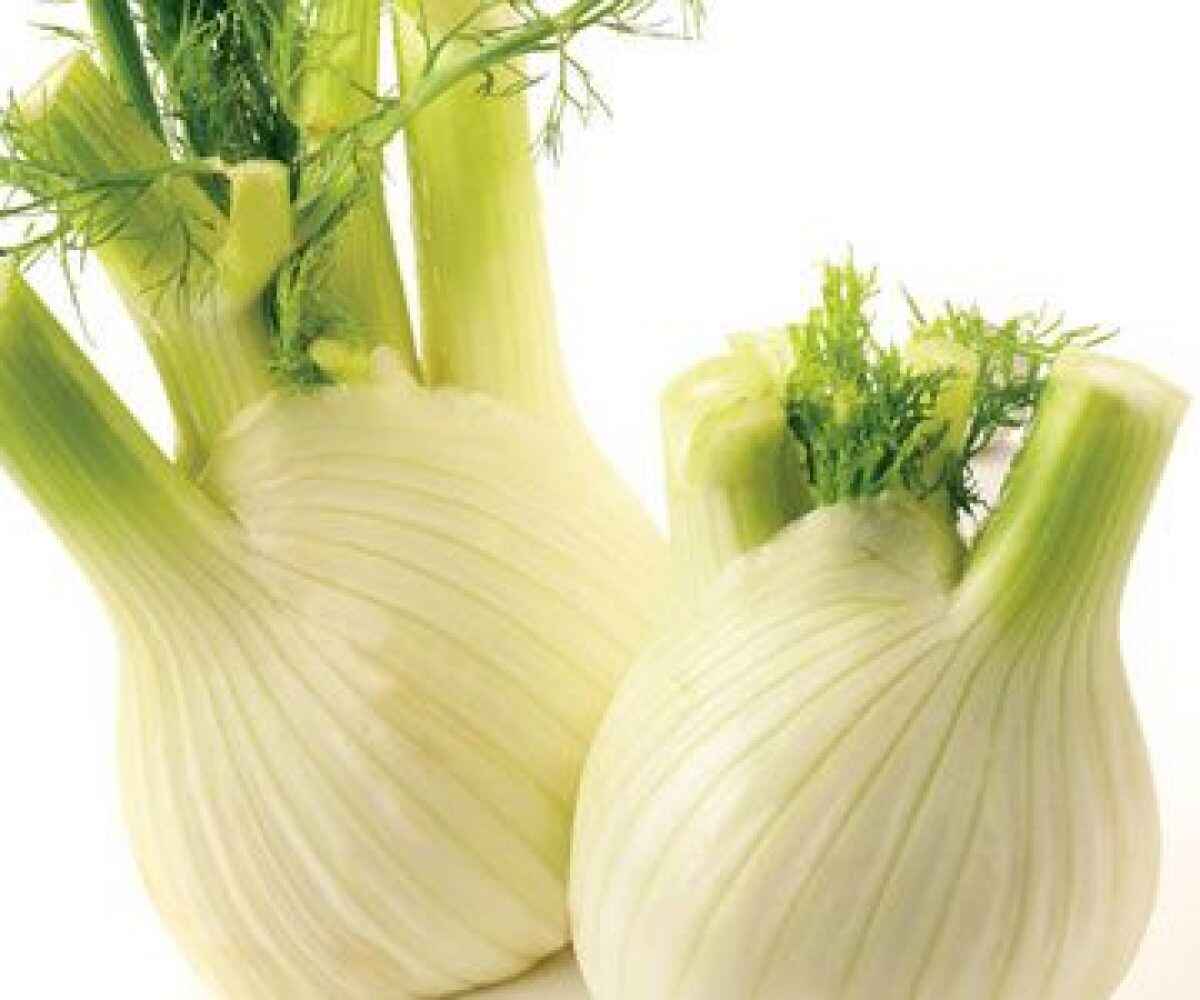 Gratin di finocchi al pecorino