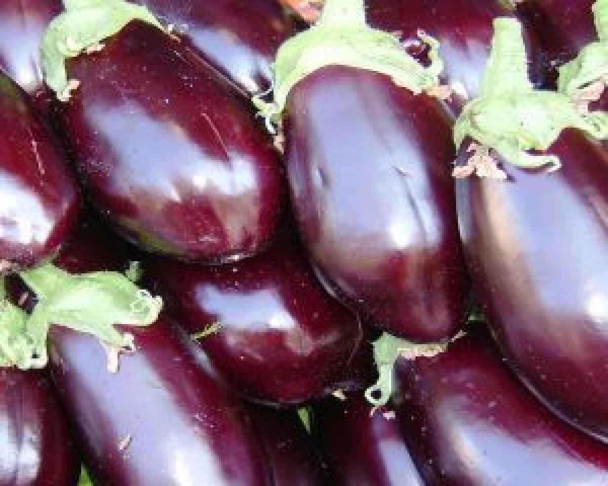 Cestini di melanzane