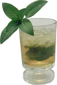 Cocktail Mint Julep