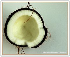 Granita di cocco