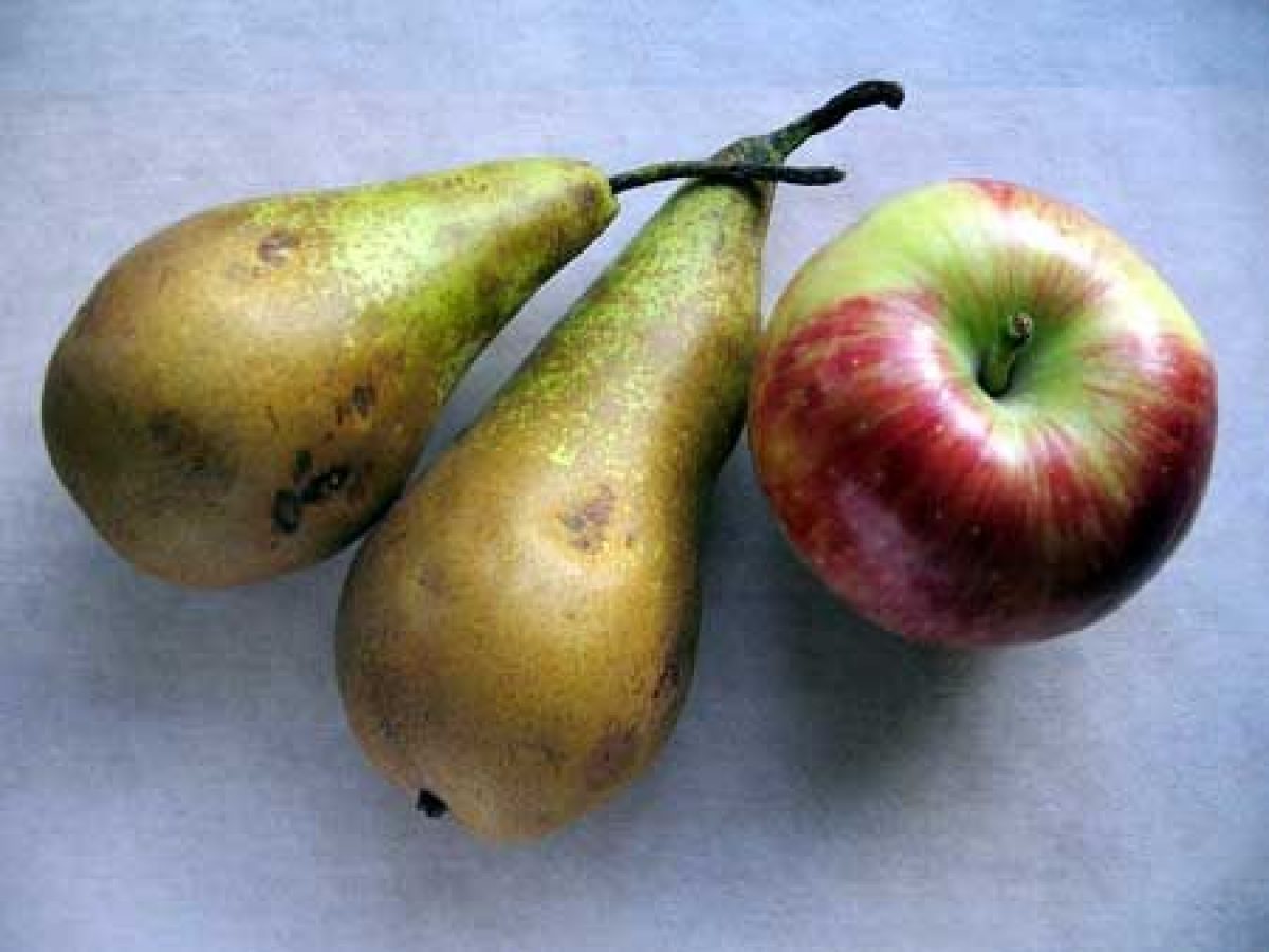 Grigliata al forno con vaniglia e lime