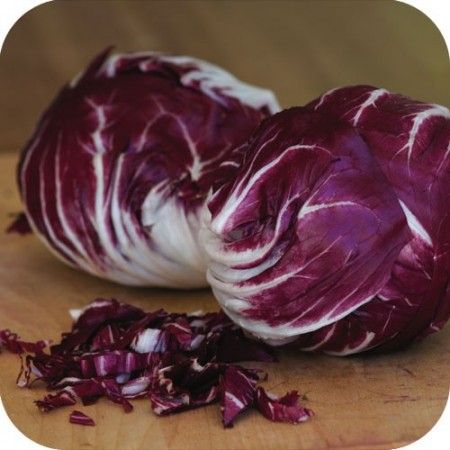 radicchio rosso