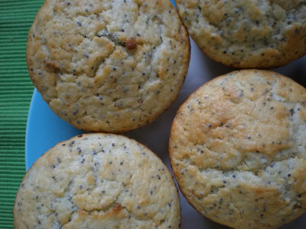 ricetta muffin senza latte limone semi ppapvero