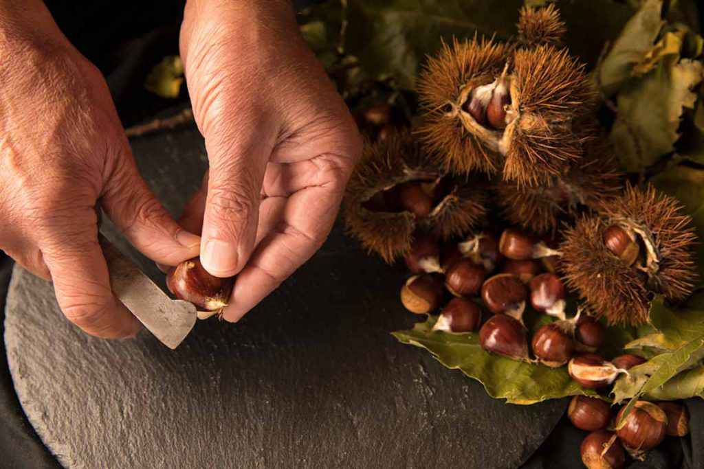 Mano che taglia le castagne prima di cucinarle