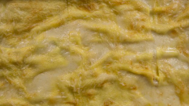 Lasagne al salmone