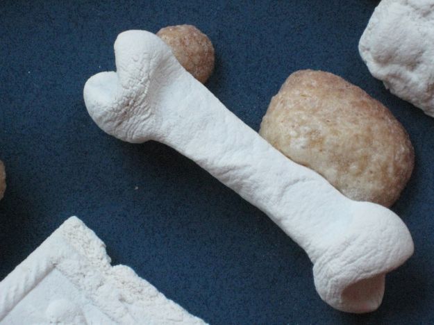Ossa dei morti