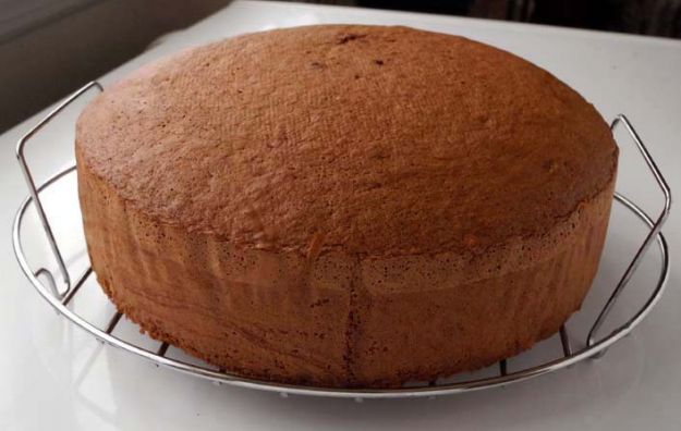 Pan di Spagna cacao