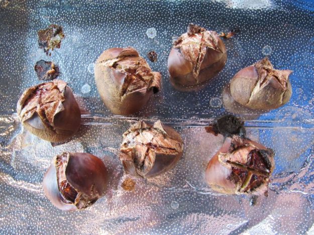 castagne al microonde