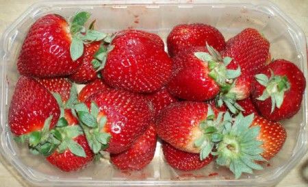 cestino di fragole fresche