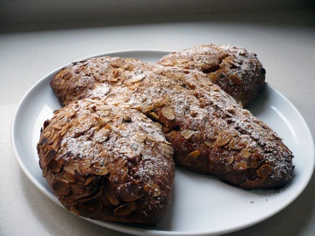 colomba classica