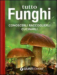 Polenta ai funghi in forma cubica