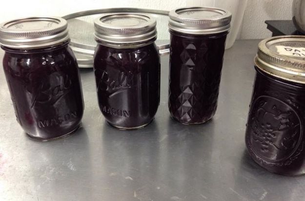 Marmellata di uva col Bimby