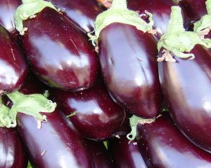 Cestini di melanzane