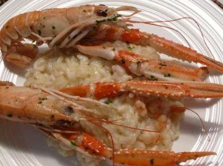 risotto agli scampi