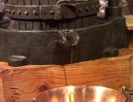 torchiatura olio di noci