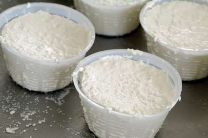 ricotta per le frittelle